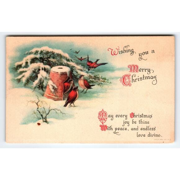 Vintage Christmas Postcard with Snowy Scene & Red Birds by Wolf Adv. Co. - Picture 1 of 2
